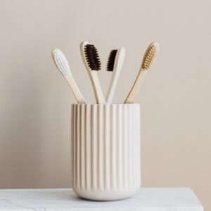 Eco Toothbrushes Set